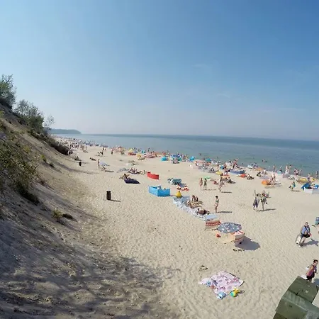 Delfinek Władysławowo