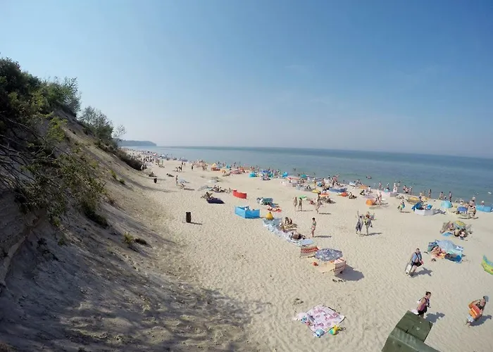 Delfinek Władysławowo