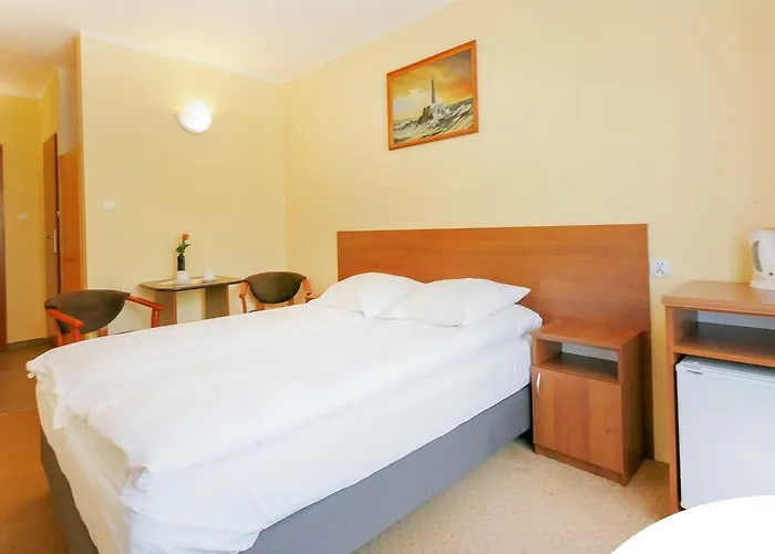 Delfinek Władysławowo