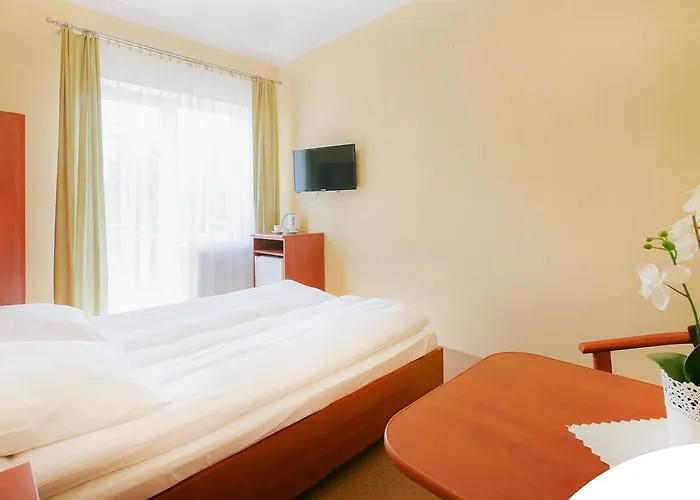 Delfinek * Władysławowo